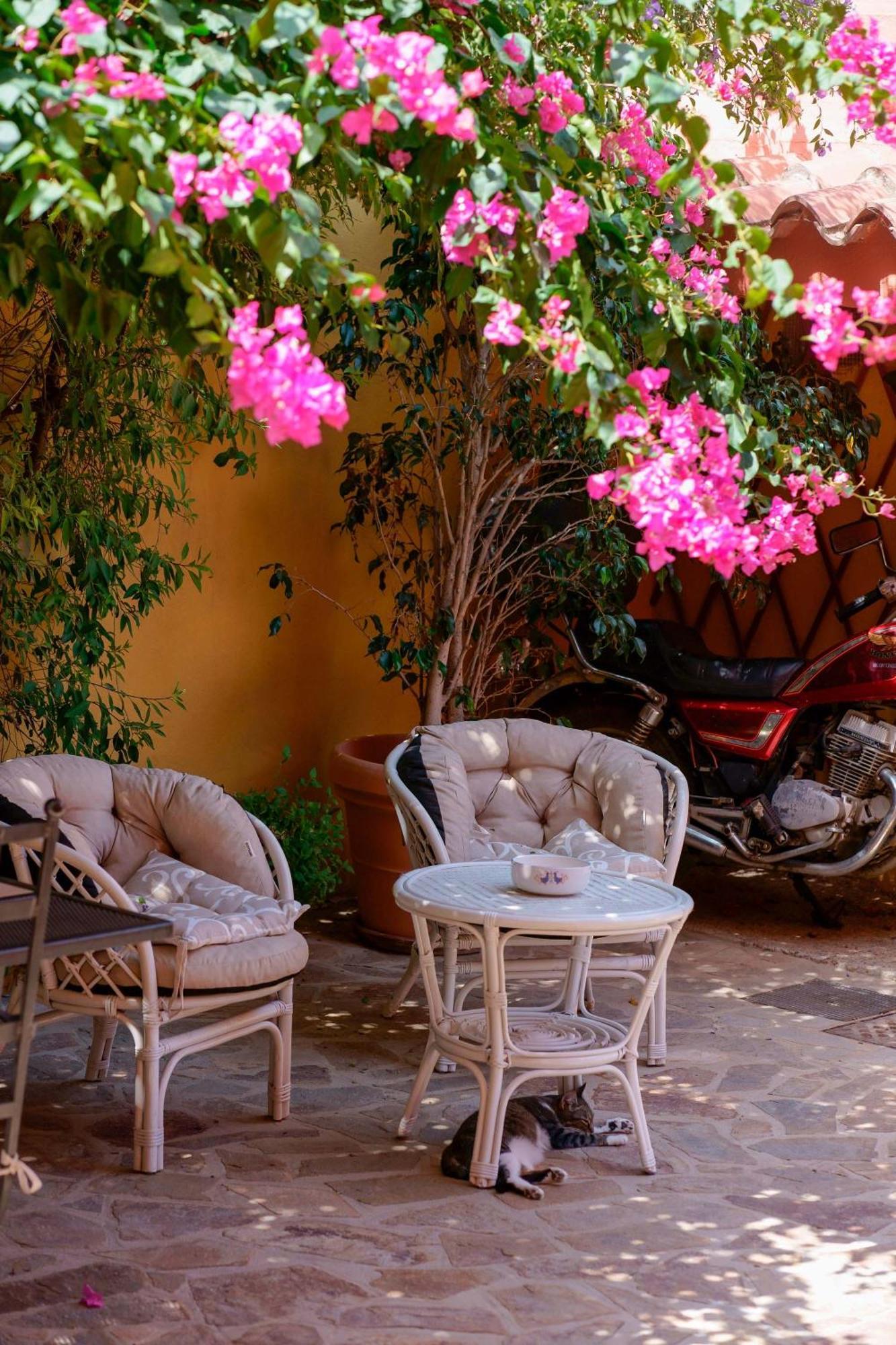 Il Piccolo Giardino Rooms & Breakfast Villasimius Exteriér fotografie