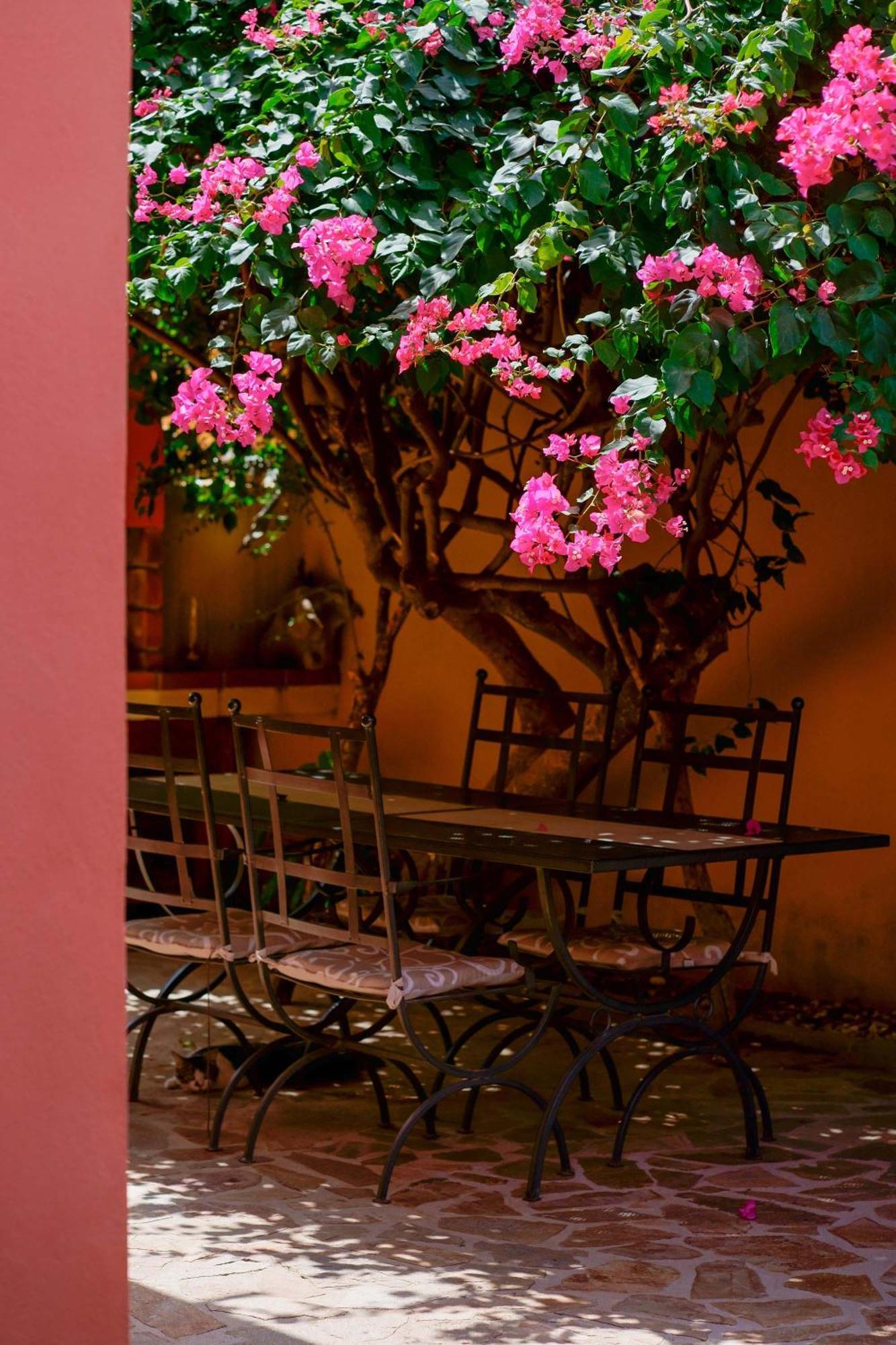 Il Piccolo Giardino Rooms & Breakfast Villasimius Exteriér fotografie